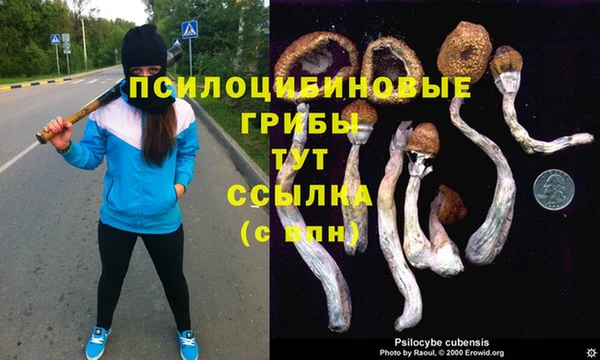 прущий лед Алексеевка