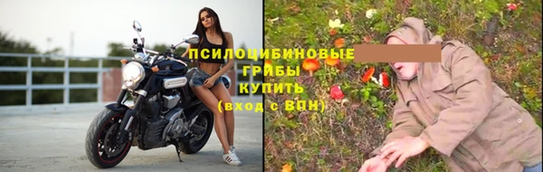 прущий лед Алексеевка